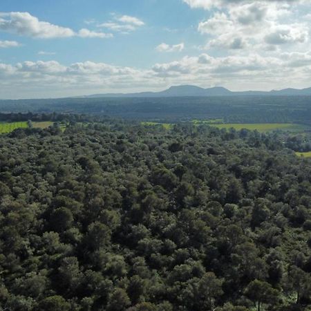 Biniali  Magnifica Villa Tranquila En El Centro De Mallorca מראה חיצוני תמונה