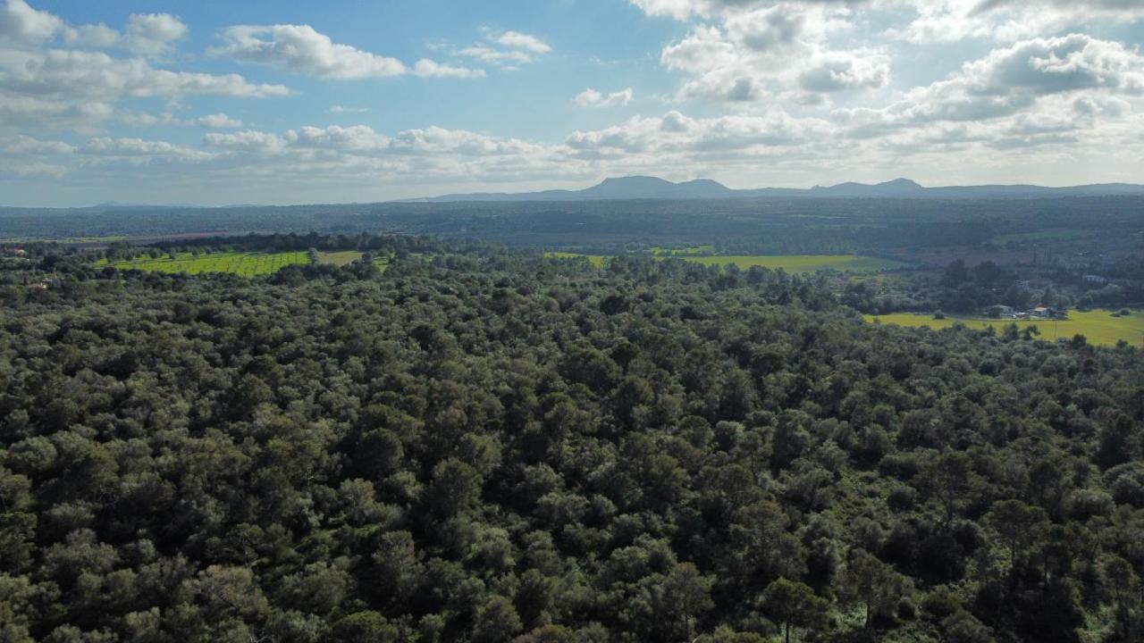 Biniali  Magnifica Villa Tranquila En El Centro De Mallorca מראה חיצוני תמונה